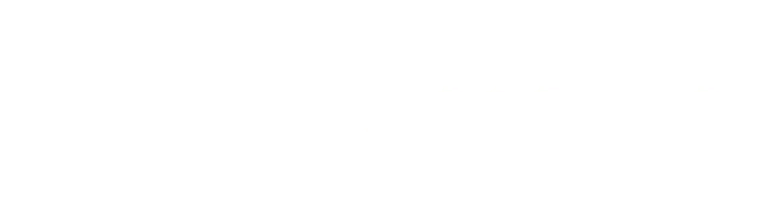 Pavel Motors